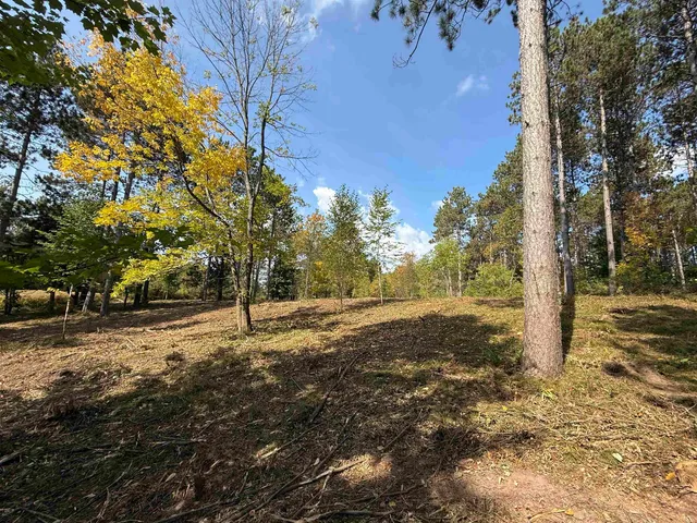 $37,000 | Burnt Pine Road, Unit 1, Lakewood, WI 54138