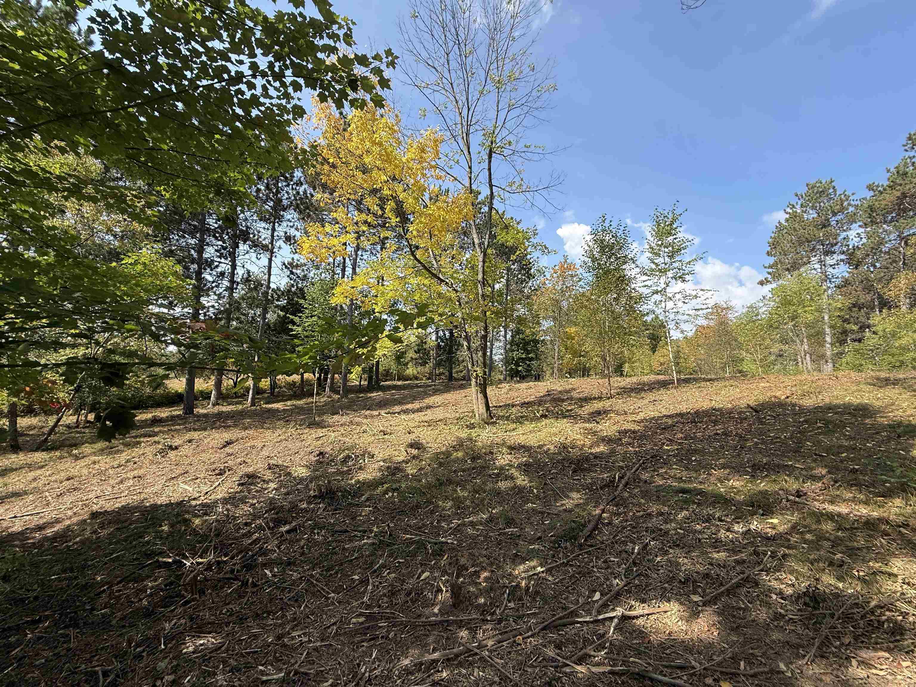 Burnt Pine Road, Unit 1 Lakewood, WI 54138 - Photo 3 of 4