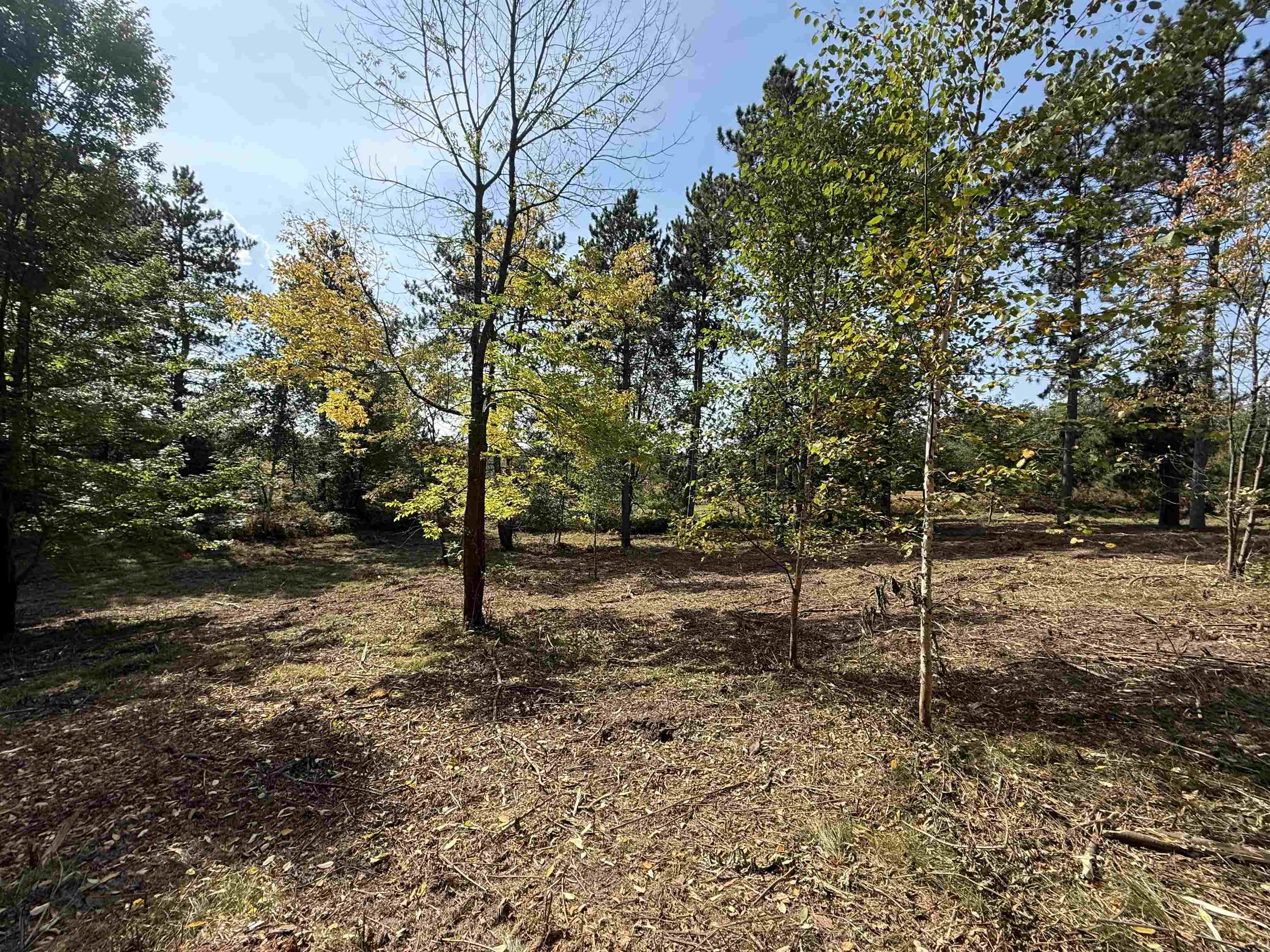 Burnt Pine Road, Unit 1 Lakewood, WI 54138 - Photo 4 of 4