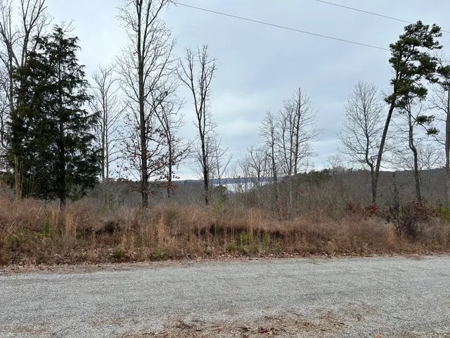 a view of a dry yard with trees