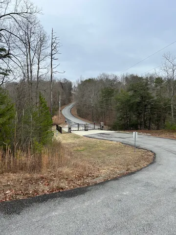 a view of a dry yard with large trees