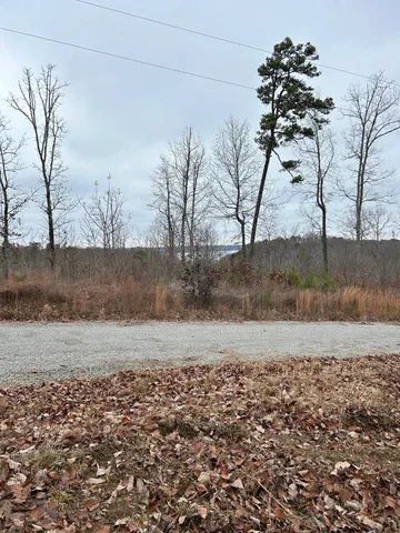 a view of a yard with wooden fence
