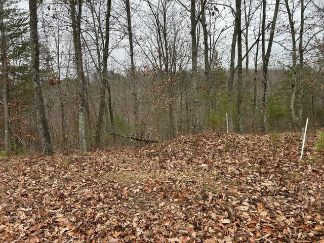 a view of a backyard of a house