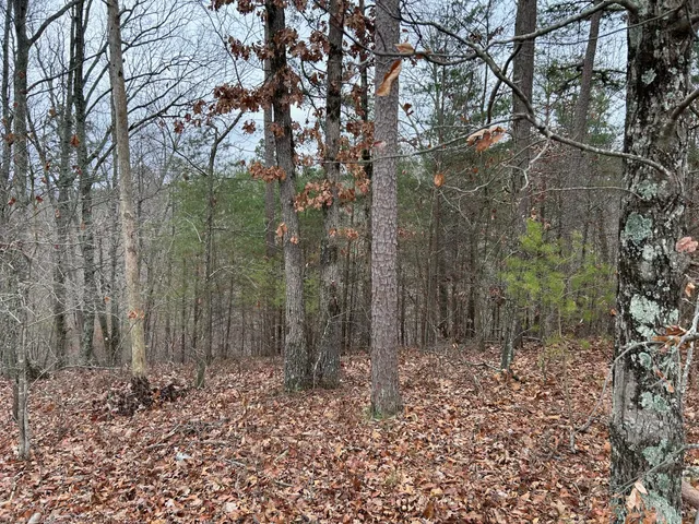 a view of house with a yard