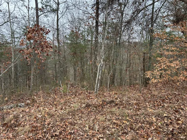 a view of a backyard of the house
