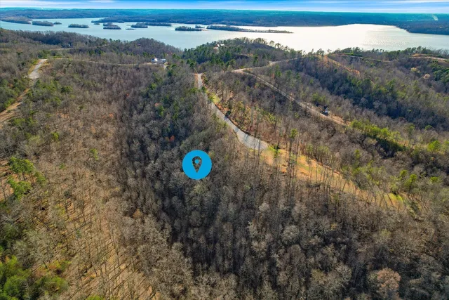 a view of a area with lot of trees