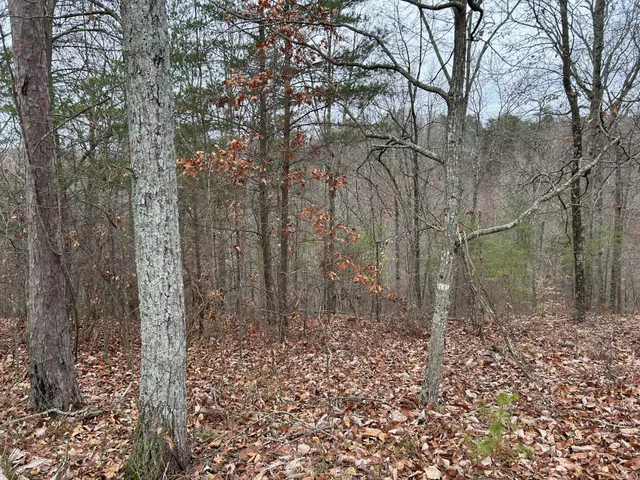 a view of a backyard of the house