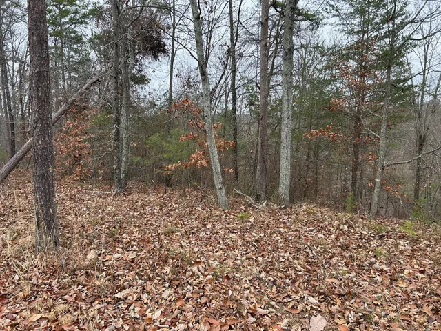 $49,000 | 0 Crestwood Drive, Waverly, TN 37185