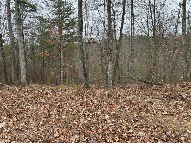 $49,000 | 0 Crestwood Drive, Waverly, TN 37185