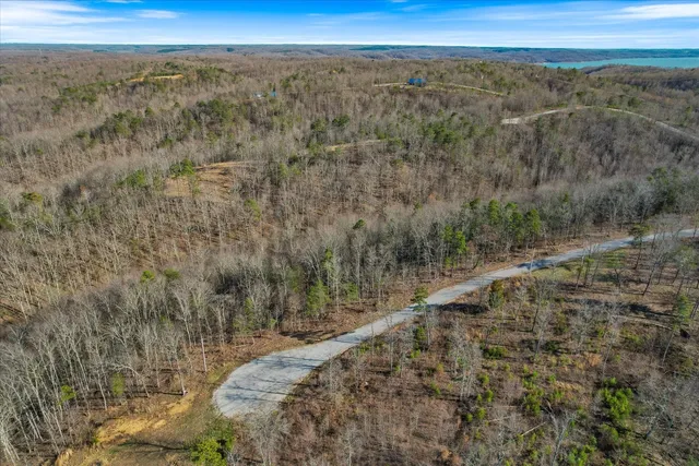 a view of a lake with mountains in the background