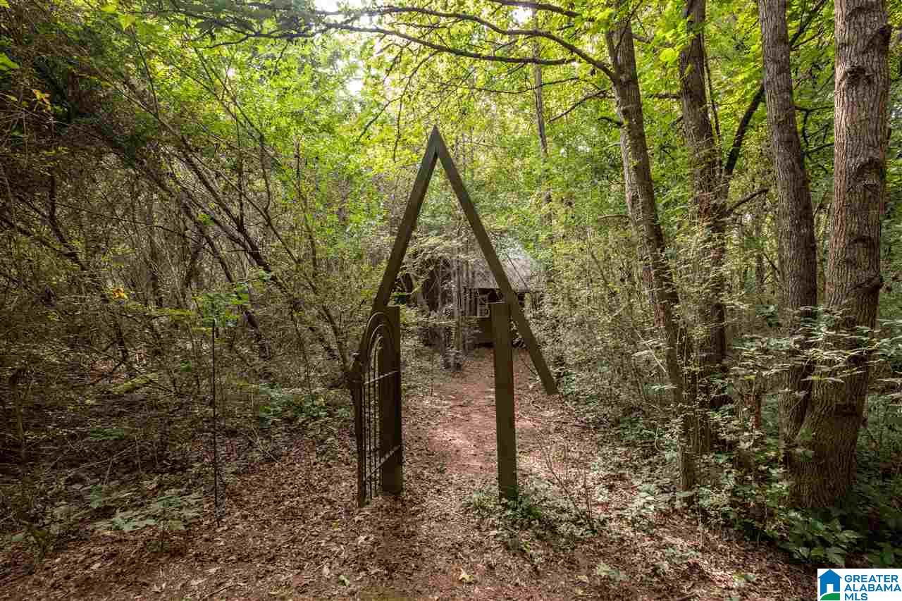 2624 Murphrees Valley Road Springville, AL 35146 - Photo 44 of 50
