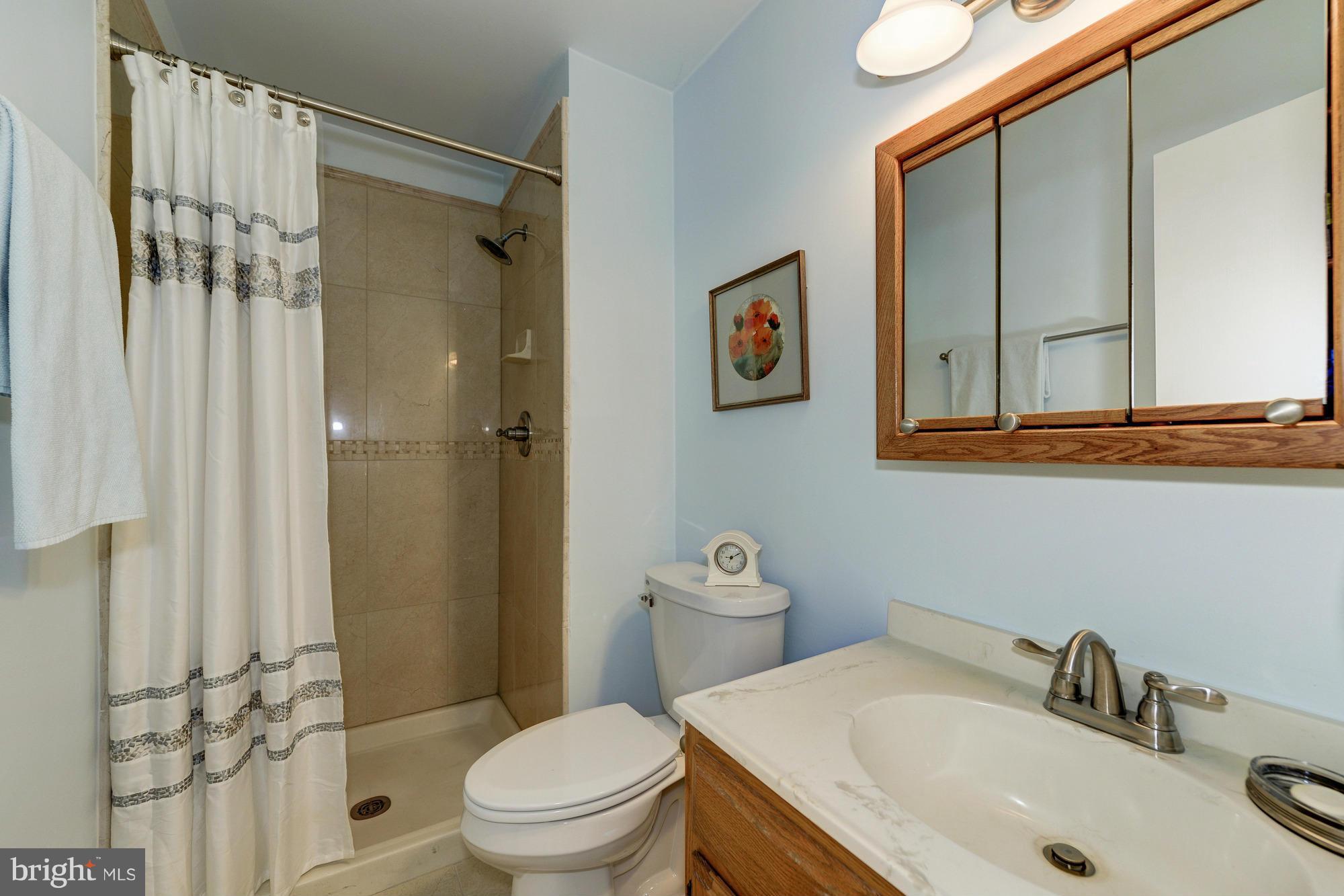 7918 Treeside Court Springfield, VA 22152 - Photo 16 of 30 Bath (Master)