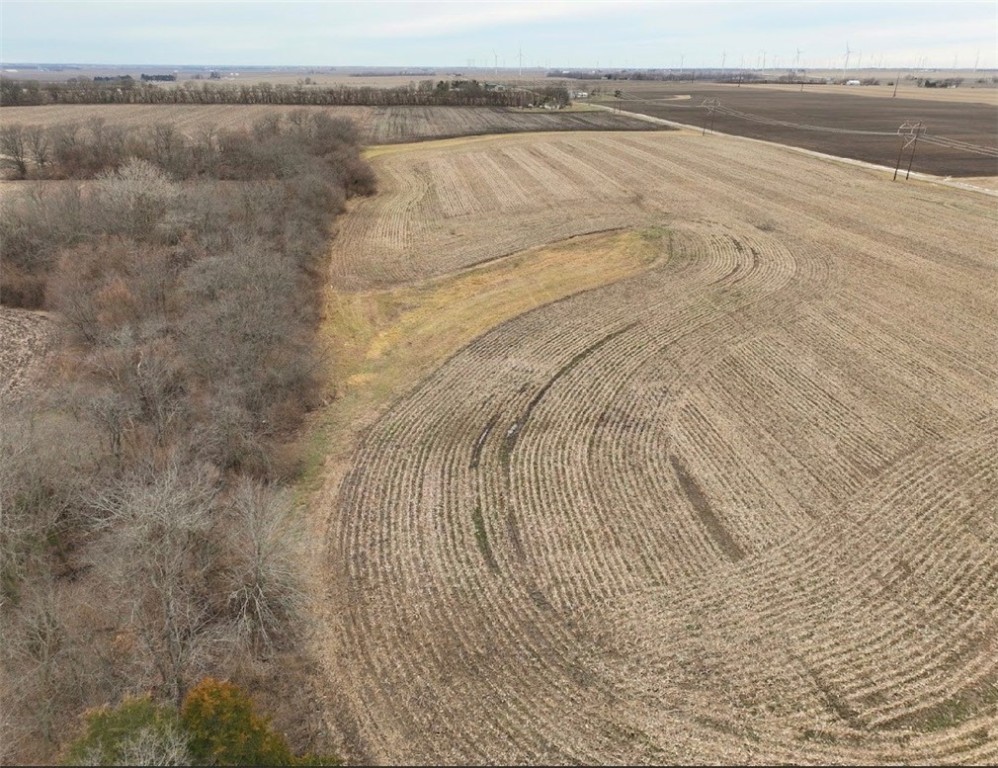 20988 Newtown Road Danville, IL 61834 - Photo 4 of 5