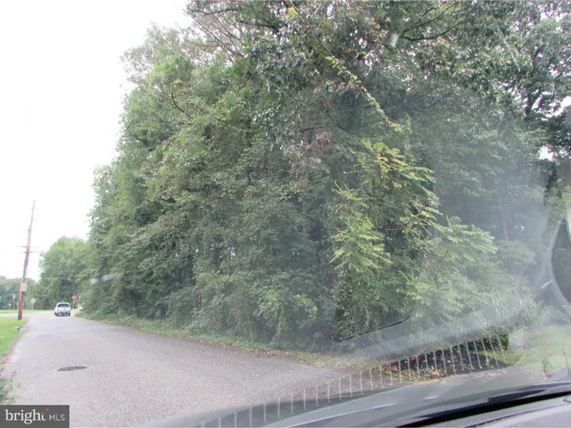 a view of a yard from a window