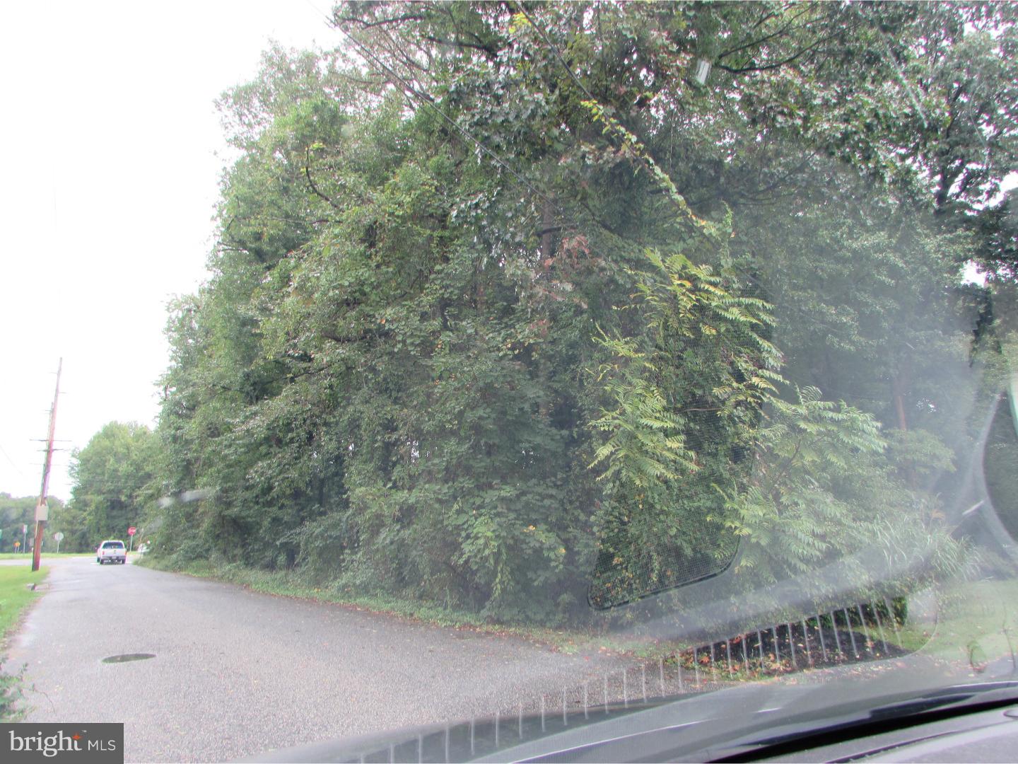 604 Hawks Bridge Road Carneys Point, NJ 08069 - Photo 3 of 5 a view of a yard from a window