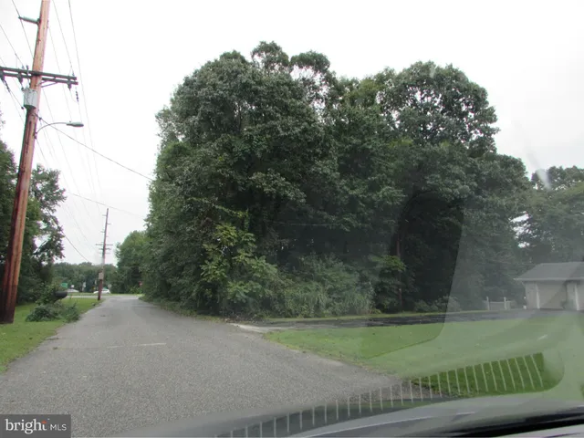 a view of a field with a trees in the background