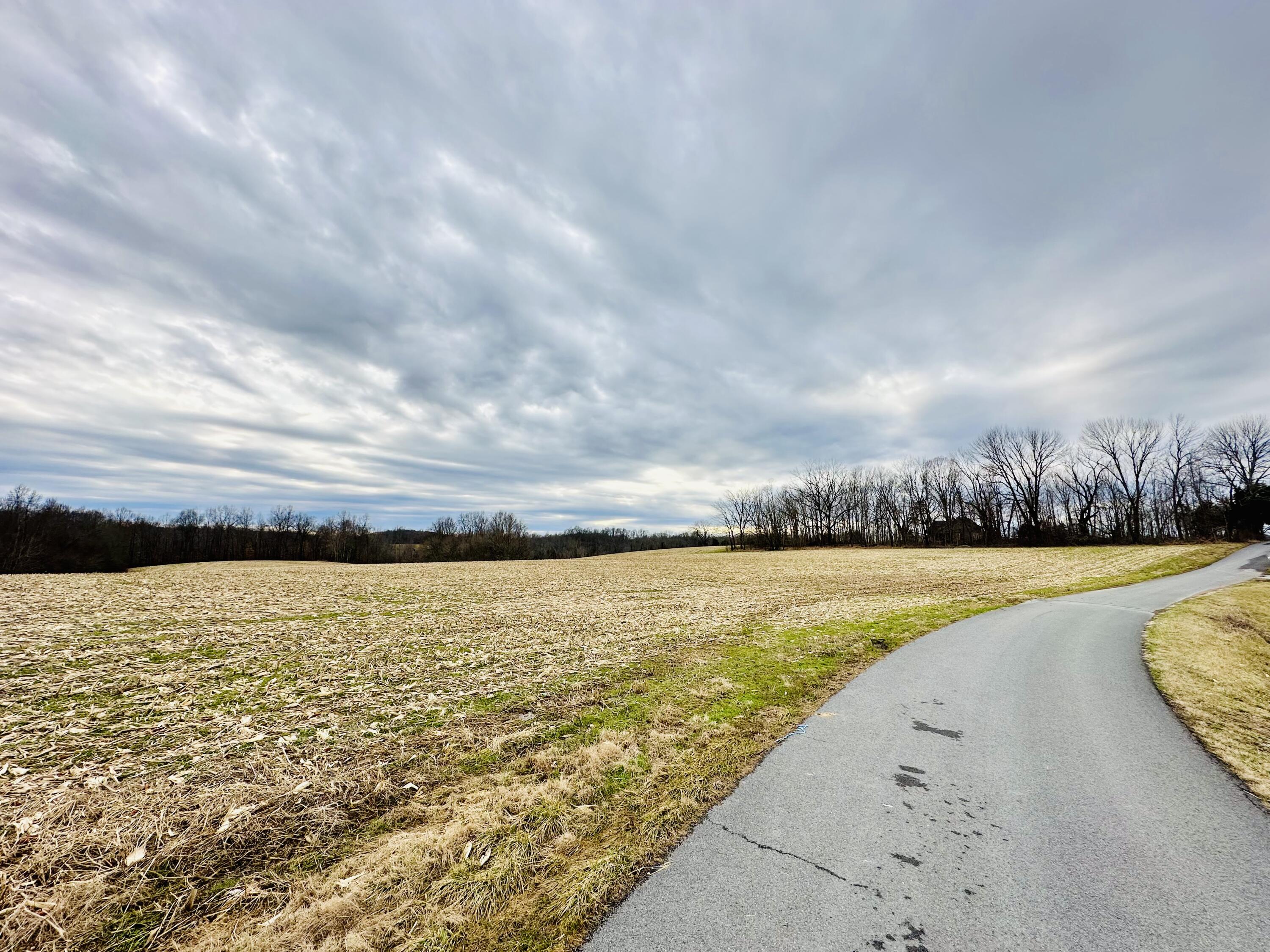0 Taylor Ford Road Columbia, KY 42728 - Photo 5 of 7 IMG_2199