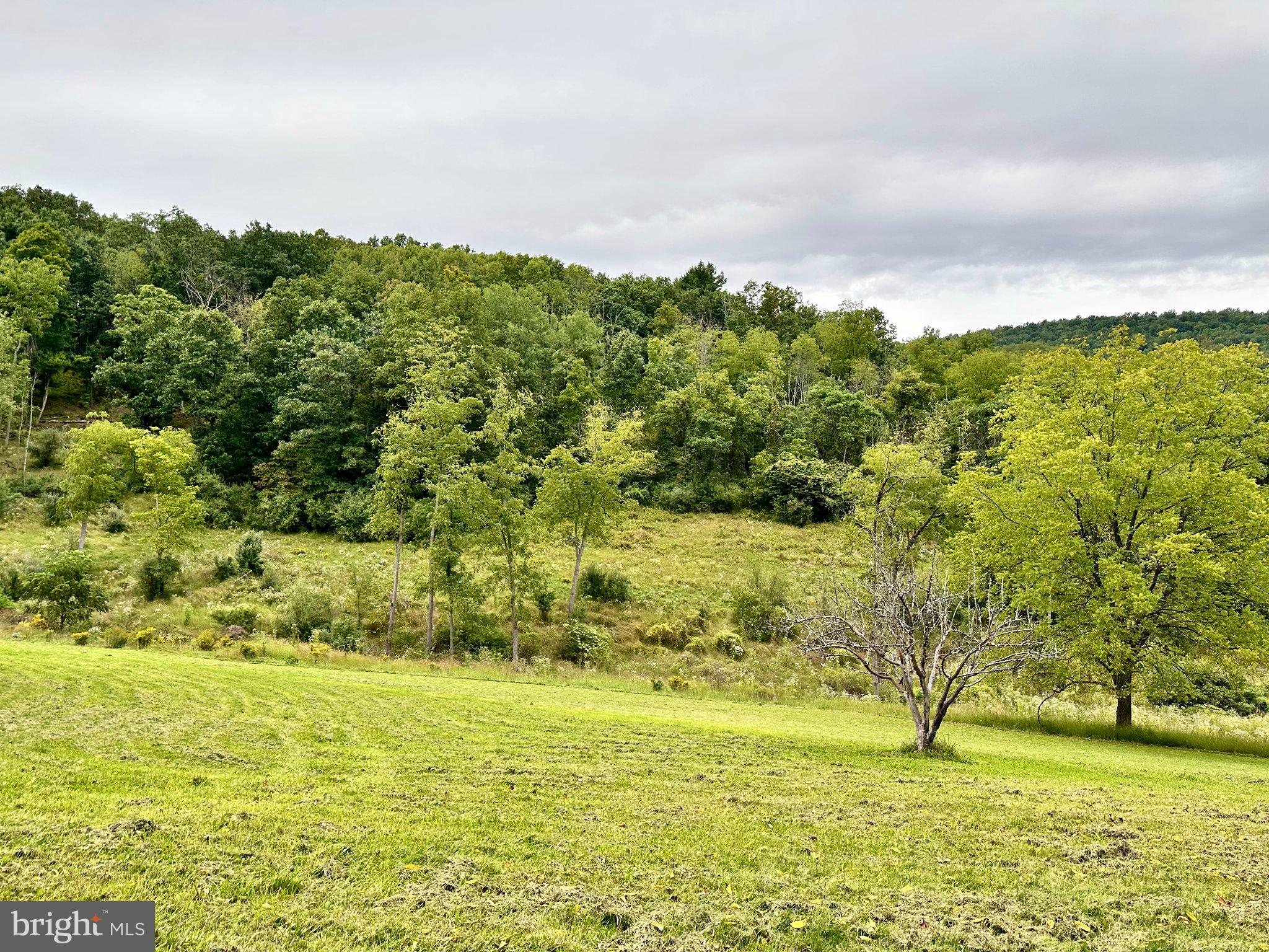 2052 Runville Road Bellefonte, PA 16823 - Photo 37 of 54 Gallery Image 37