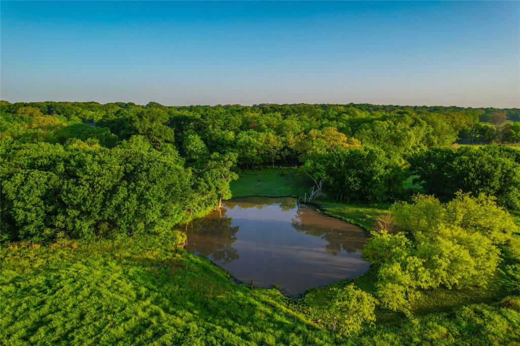 7526 Fm 2114 Road Hubbard, TX 76648 - Photo 31 of 40 a view of a yard