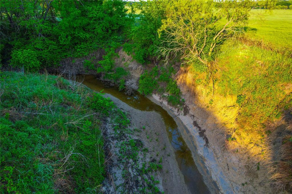 7526 Fm 2114 Road Hubbard, TX 76648 - Photo 34 of 40 a view of a yard with plants and large trees