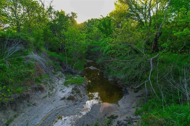 a view of a lake with large trees
