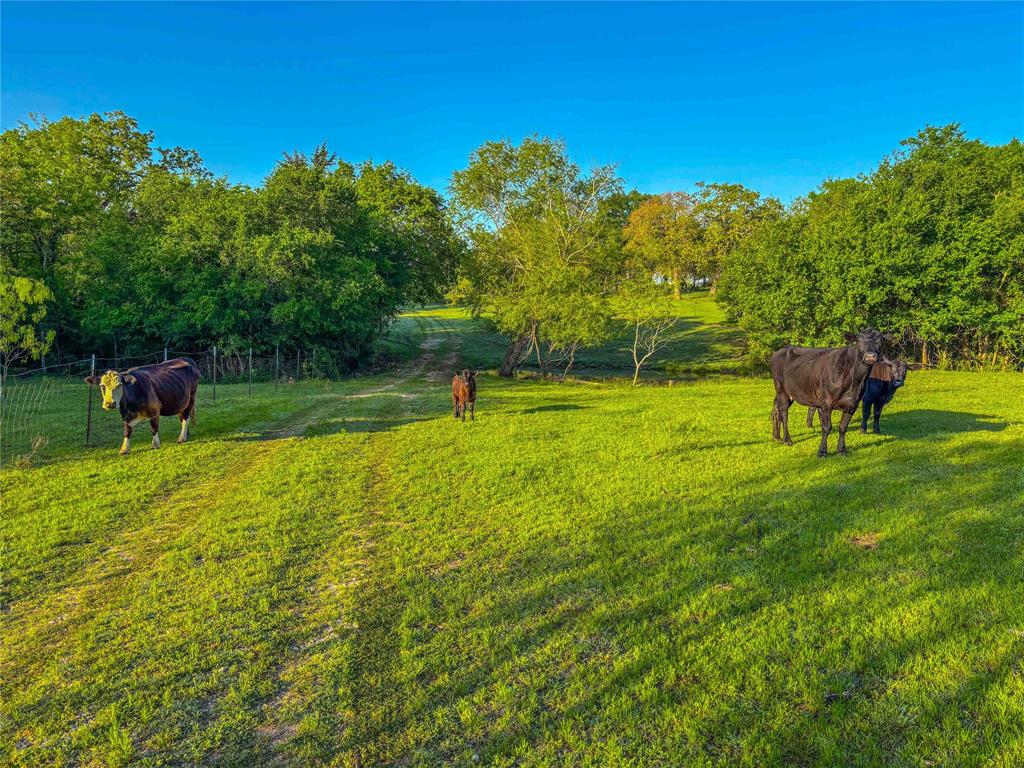 7526 Fm 2114 Road Hubbard, TX 76648 - Photo 39 of 40 a view of a garden