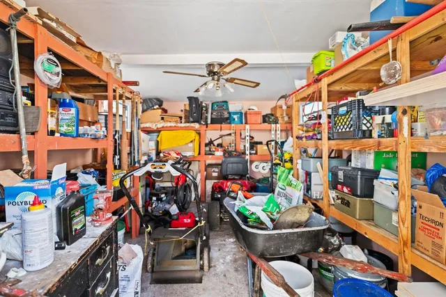 a store filled with lots of different kinds of flowers