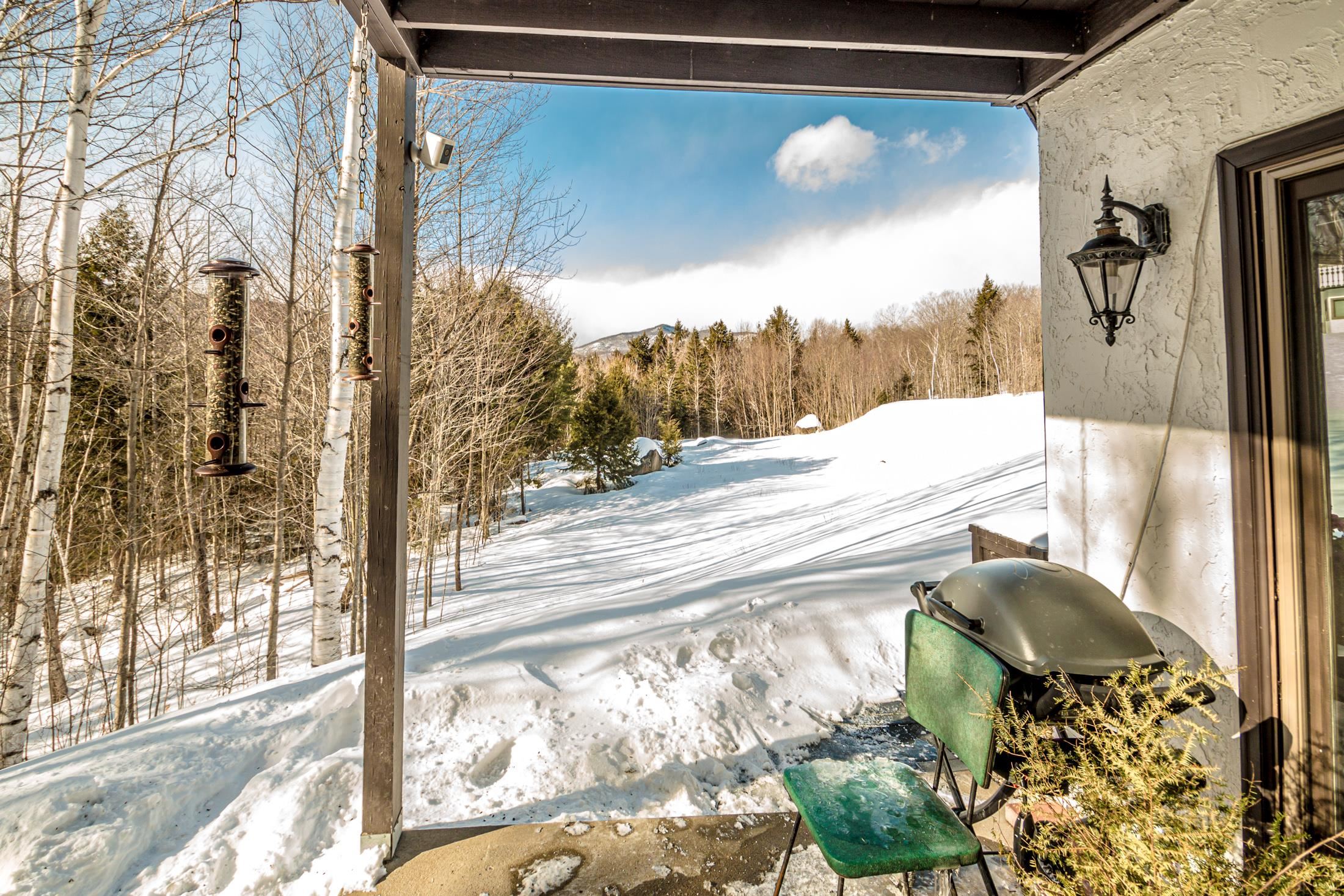 D14 Christmas Mountain Road Intervale, NH 03845 - Photo 33 of 49 Gallery Image 33