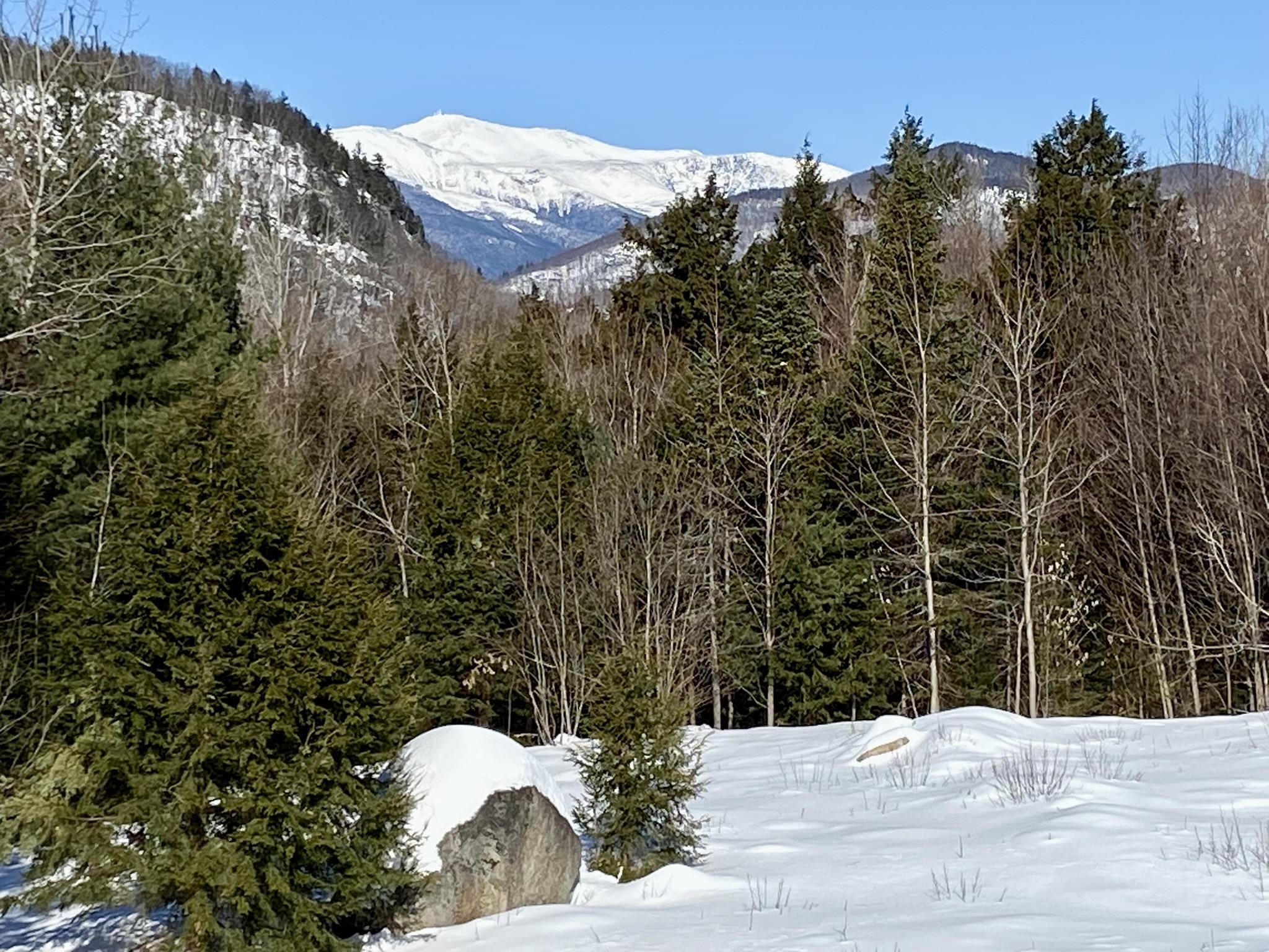 D14 Christmas Mountain Road Intervale, NH 03845 - Photo 45 of 49 Gallery Image 45
