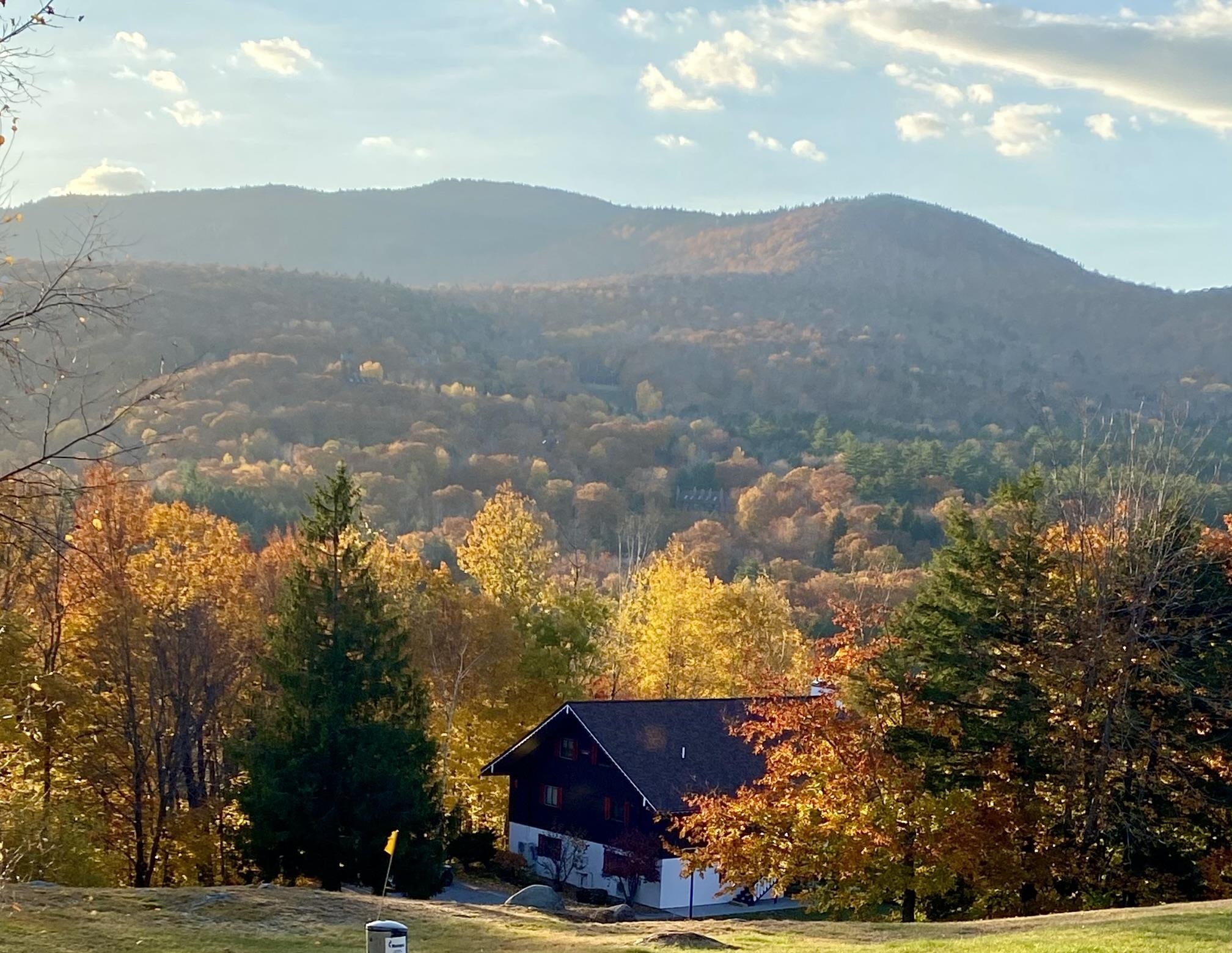 D14 Christmas Mountain Road Intervale, NH 03845 - Photo 5 of 49 Gallery Image 5