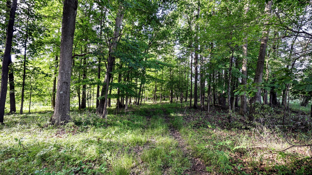 29 29 Mile Road Battle Creek, MI 49014 - Photo 9 of 48
