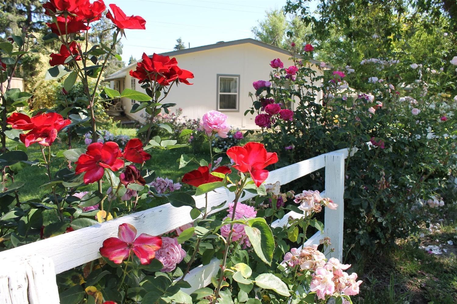 1225 South Stage Road Medford, OR 97501 - Photo 3 of 27 Gallery Image 3