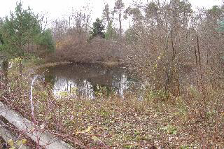 3580 Samaria Road Temperance, MI 48182 - Photo 19 of 20 Pond