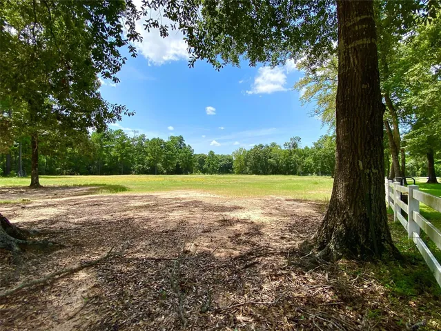 a view of outdoor space with trees all around