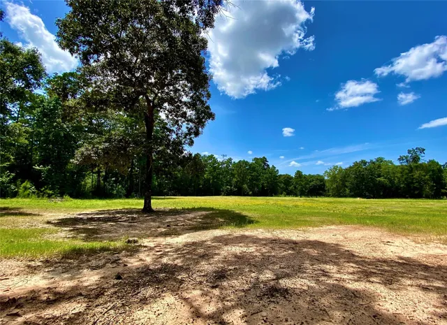 a view of a golf course
