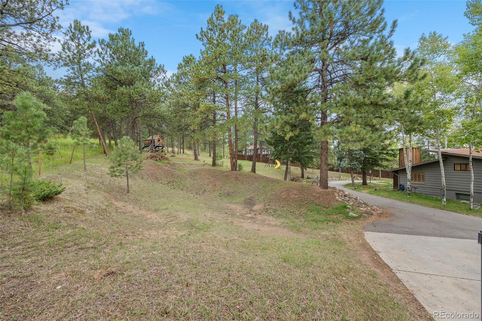 6151 Kinney Creek Road Evergreen, CO 80439 - Photo 8 of 16