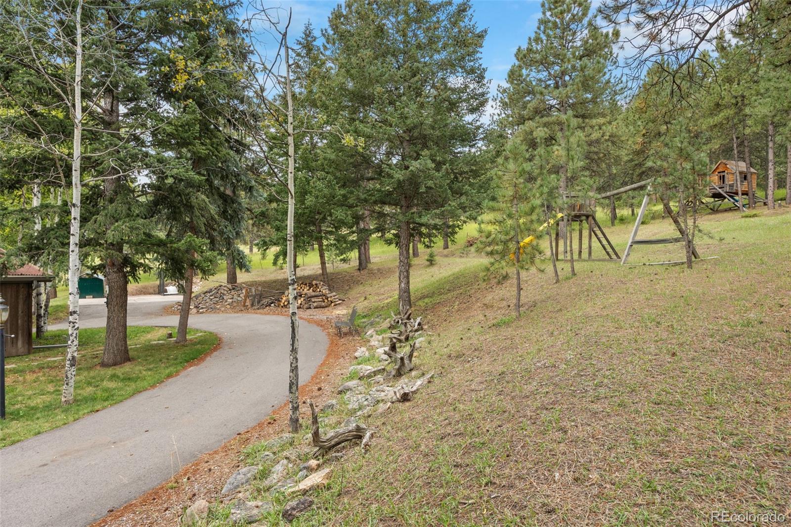 6151 Kinney Creek Road Evergreen, CO 80439 - Photo 10 of 16