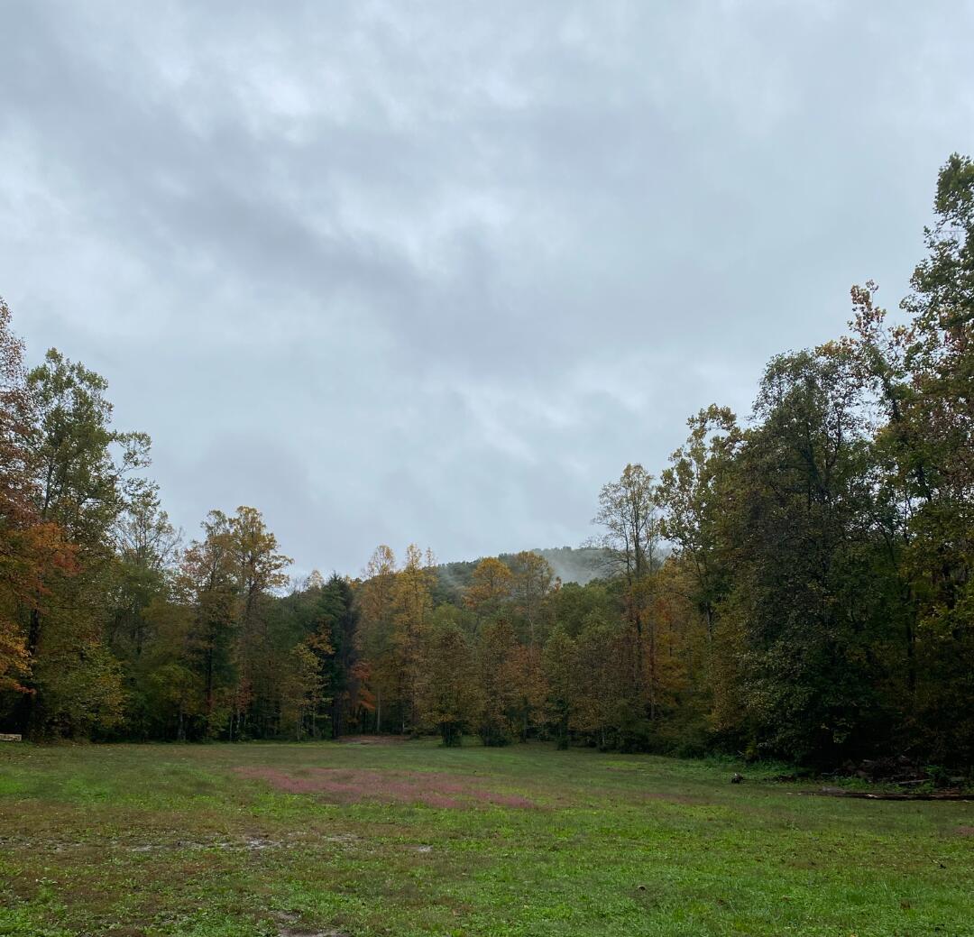 958 Low Gap Road McKee, KY 40447 - Photo 5 of 27 Screenshot_20220426-211621~2