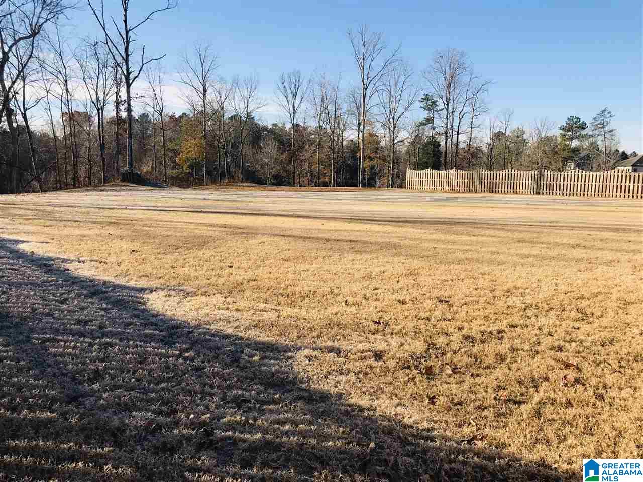 209 West Trestle Way Helena, AL 35080 - Photo 3 of 50