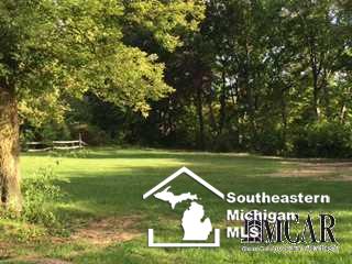 12345 Bigelow Road Dundee, MI 48131 - Photo 11 of 13 Back yard
