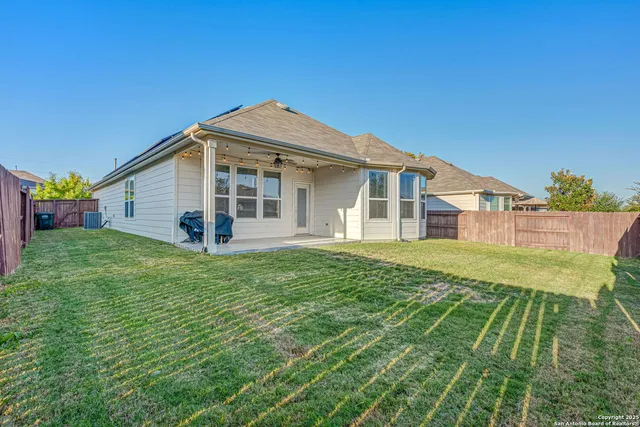 a view of a backyard with plants and large tree