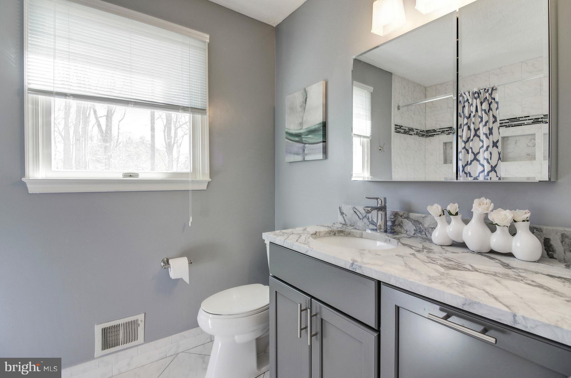 7411 Jenna Road Springfield, VA 22153 - Photo 22 of 30 Bath