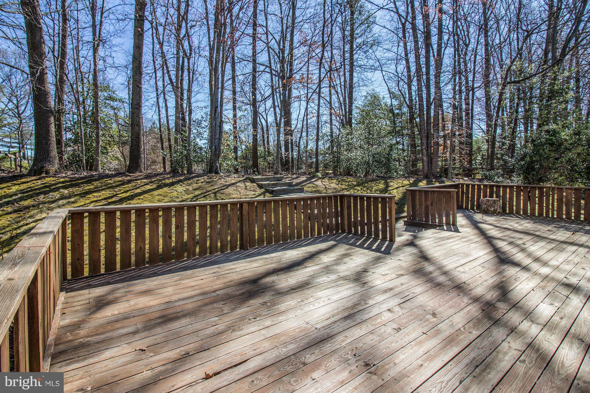 7411 Jenna Road Springfield, VA 22153 - Photo 29 of 30 Exterior (Rear)