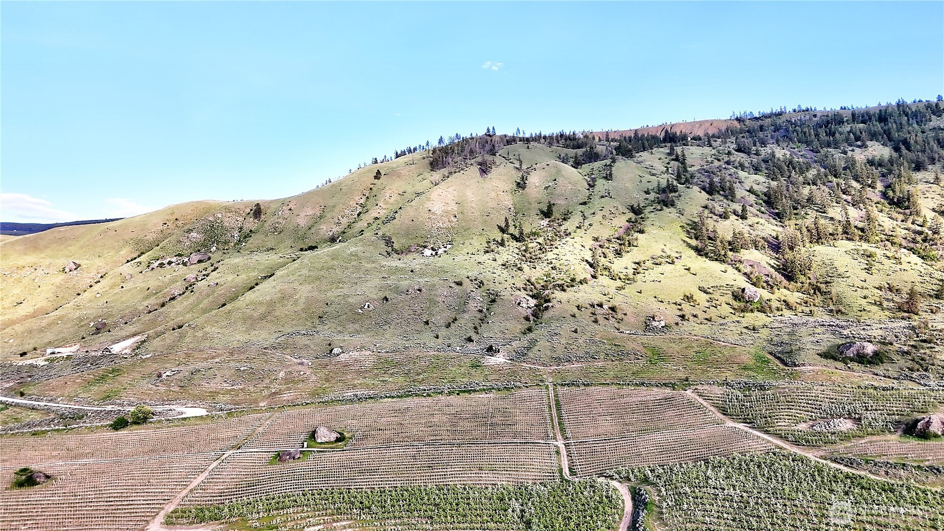 0 Farnham Canyon Road Orondo, WA 98843 - Photo 7 of 24