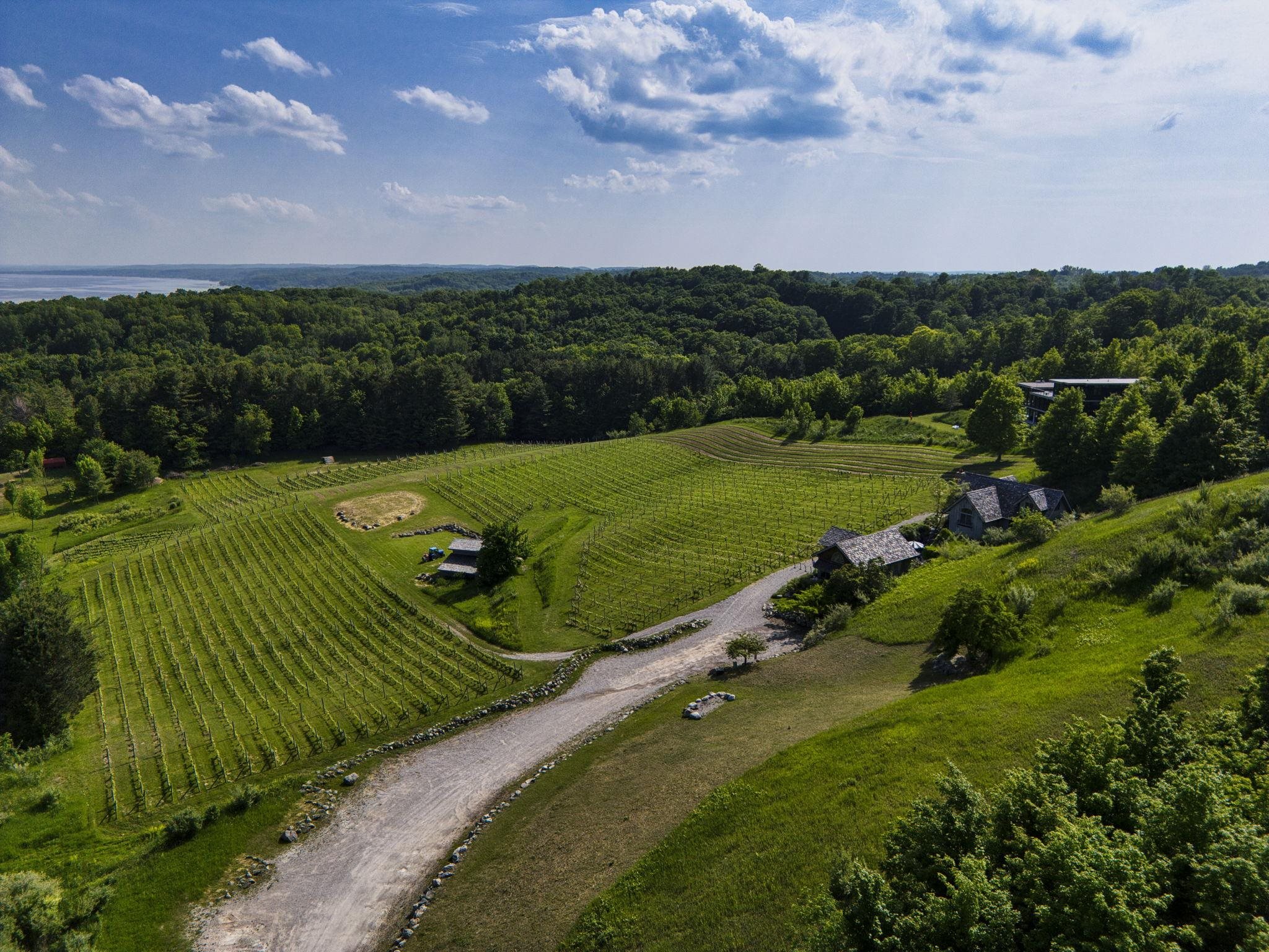 10702 East Hilltop Road Suttons Bay, MI 49682 - Photo 67 of 92