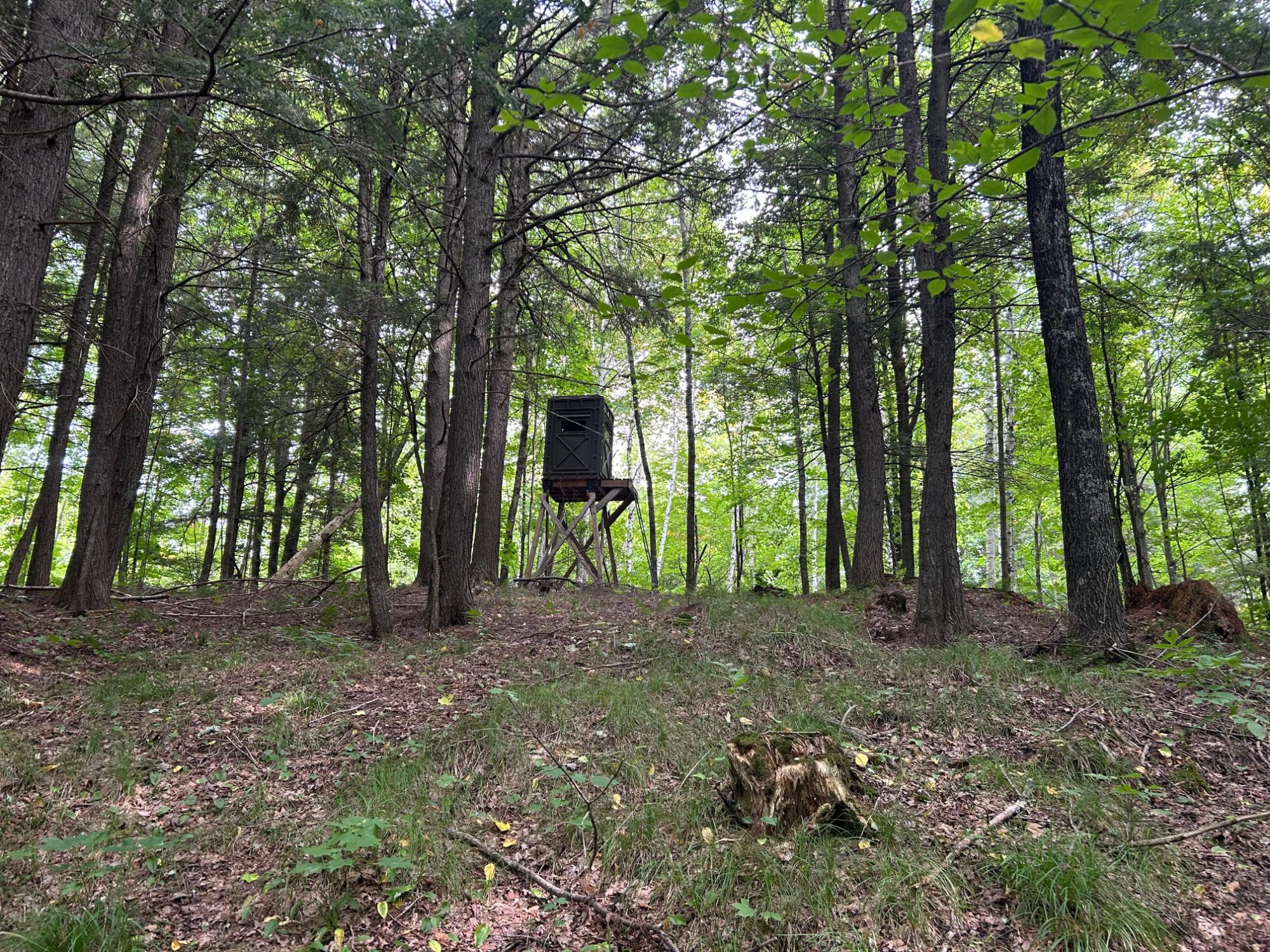 N10311 Hemlock Road Summit Lake, WI 54485 - Photo 60 of 63 Gallery Image 60