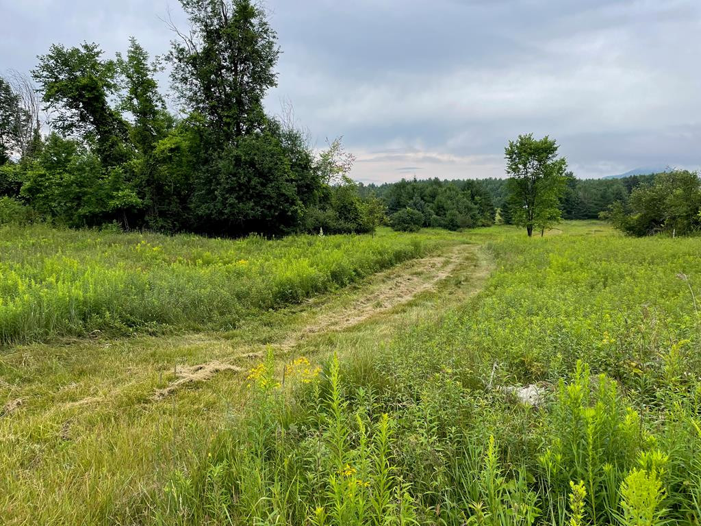 573 Stickney Bridge Road Jay, NY 12941 - Photo 3 of 26 Gallery Image 3