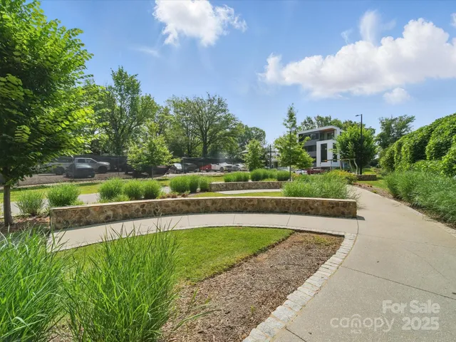 a view of a park with large trees