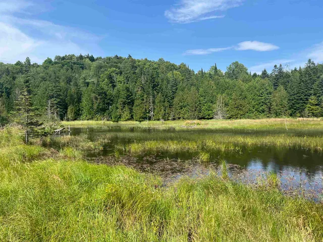 $120,000 | 0 Hartwell Pond Road, Barton, VT 05875