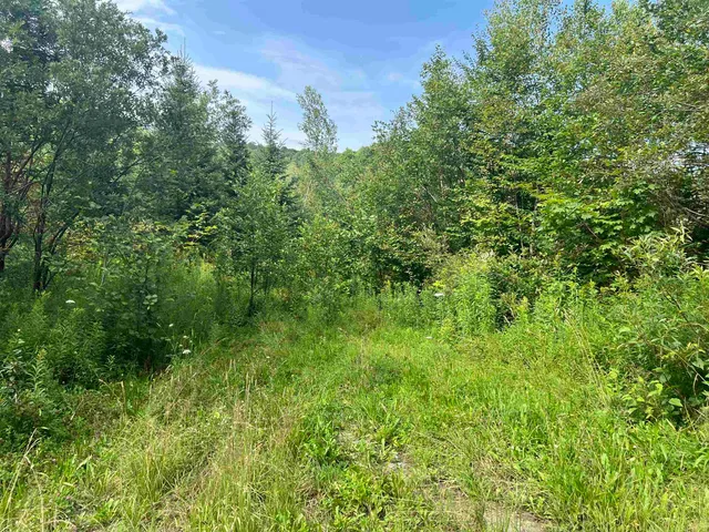 $120,000 | 0 Hartwell Pond Road, Barton, VT 05875